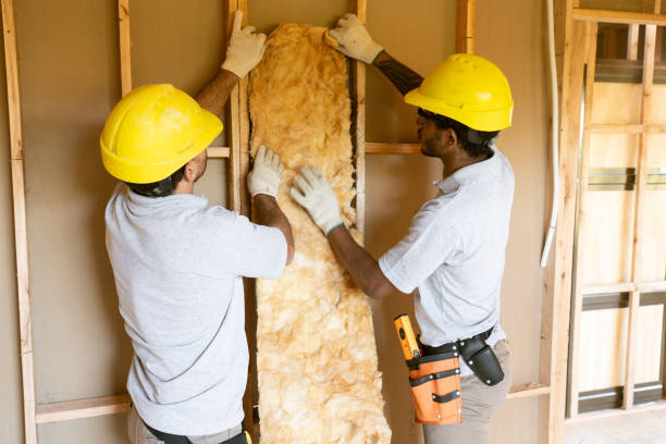 Best Batt and Roll Insulation  in Sells, AZ